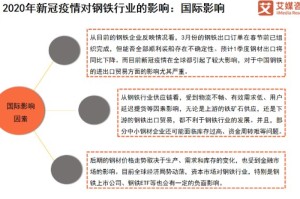 墨西哥新冠疫情应对策略，应对疫情影响