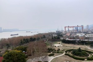 重庆长江国际疫情最新消息（重庆长江国际地理位置图）