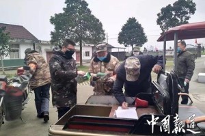 老挝疫情下的挑战、适应与希望