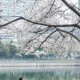 武汉封城时间，2020年1月23日