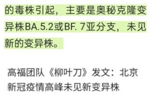 疫情开始的时间是几月几日？