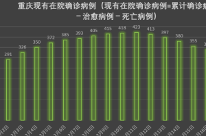 重庆疫情最新动态报告，防控成效显著，经济复苏稳步前行