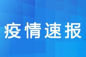  看一下疫情通报（疫情通报情最新消息今天）