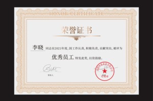 疫情志愿者荣誉证书（疫情志愿者荣誉证书模板）