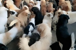 全球疫情结束时间表（全球疫情结束时间表格）