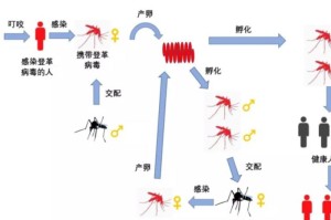 秘鲁登革热疫情，挑战、应对与未来展望