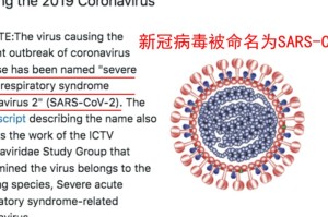疫情病毒名称是新型冠状病毒。