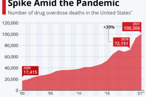 哥伦比亚疫情死亡人数，公共卫生危机下的深刻反思