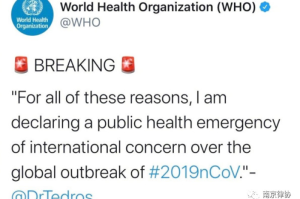 从2019疫情爆发看全球公共卫生体系的挑战与应对