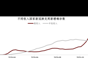 全球疫情爆发时间线，2020年新冠疫情第一年何时开始？