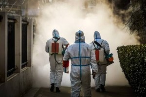 疫情初现，新冠疫情的爆发之年