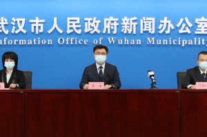 武汉疫情处理官员现况（武汉疫情处理官员现况怎么样）