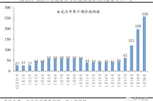 2019武汉疫情百科（2019武汉疫情数据）