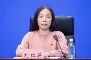 郑州疫情何时能结束，科学防控与公众期待的交汇点