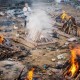 疫情三年死亡总人数（疫情以来死亡人数）