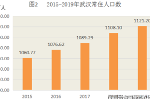 2019年疫情武汉（2019年疫情武汉死了多少人口）