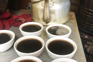 疫情是什么时候发生的事情（疫情是哪时候发生的?）