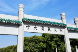 武汉最新疫情消息今天的（武汉最新疫情消息今天的情况）