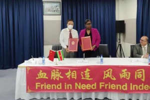 苏里南疫情挑战及应对策略