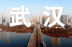 疫情期间封城的城市有哪些（疫情封城的地方有哪些）