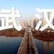 疫情期间封城的城市有哪些（疫情封城的地方有哪些）