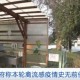 三年疫情的真实情况怎么写（三年之内疫情会不会好）