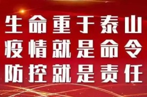 撒贝宁，疫情中的诗意与坚韧，用诗词抗疫