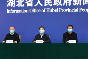 武汉疫情后续处理多少官员（武汉因疫情被处理的领导有哪些）