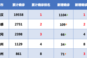 疫情城市排名前十（疫情城市排名实时动态）