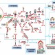 新冠疫情最新政策（新冠疫情最新资料）