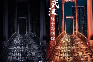 武汉疫情抖音百科（武汉疫情的）