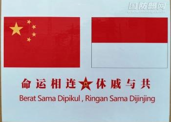 文莱疫情控制，挑战、策略与未来展望