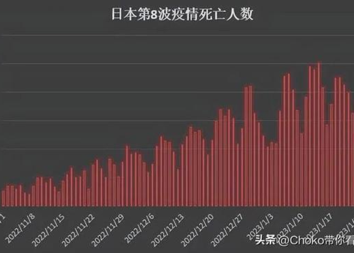 中国疫情死亡人数最新统计，全面审视与反思