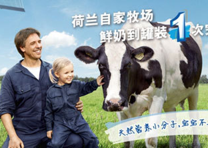 疫情下的荷兰奶源，挑战与机遇并存