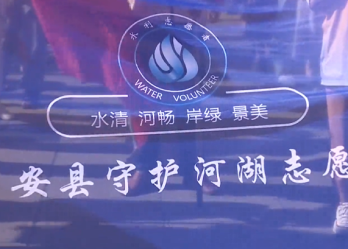 疫情下法国遛狗，人与自然的和谐共处