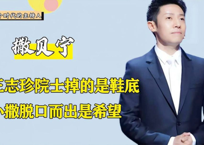 撒贝宁疫情语录，智慧与温情的话语力量