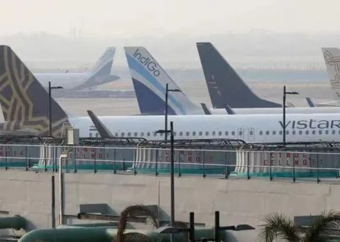 疫情下的新西兰，航空禁飞引发的孤岛效应