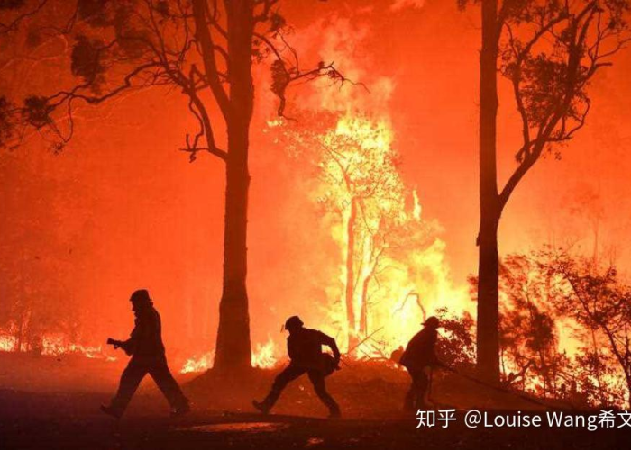 澳大利亚山火，疫情下自然与人为交织的灾难