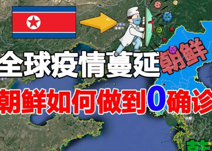 朝鲜疫情挑战与应对策略