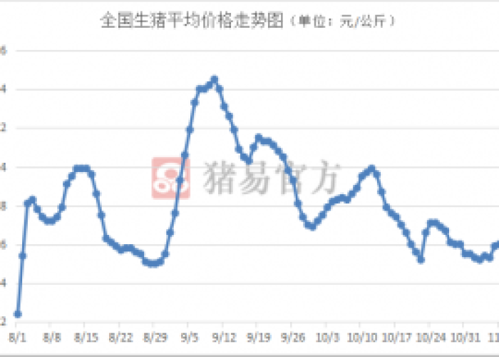 疫情下亚洲货币与古巴币走势分析，未来会否上涨？