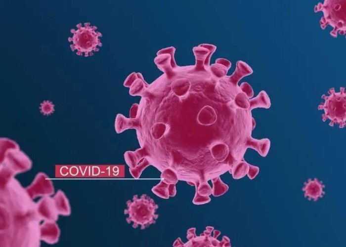 新冠疫情病毒称为新型冠状病毒或COVID-19。
