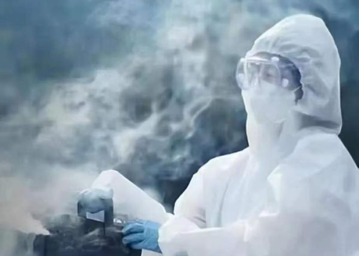 疫情封城记忆，那一年，我们共同经历的挑战与坚持
