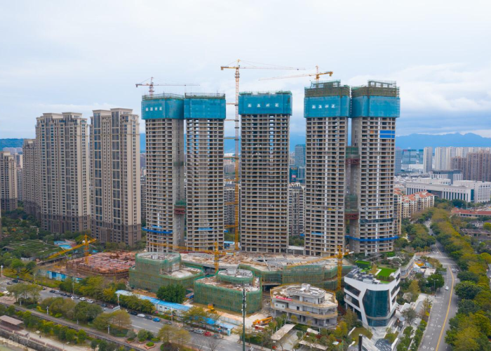 疫情期间最牛股票，逆势上涨，引领市场