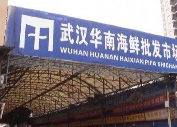 武汉是新冠疫情的发源地吗？