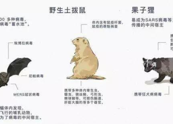 2020年肺炎疫情最初来源揭晓，与野生动物交易有关