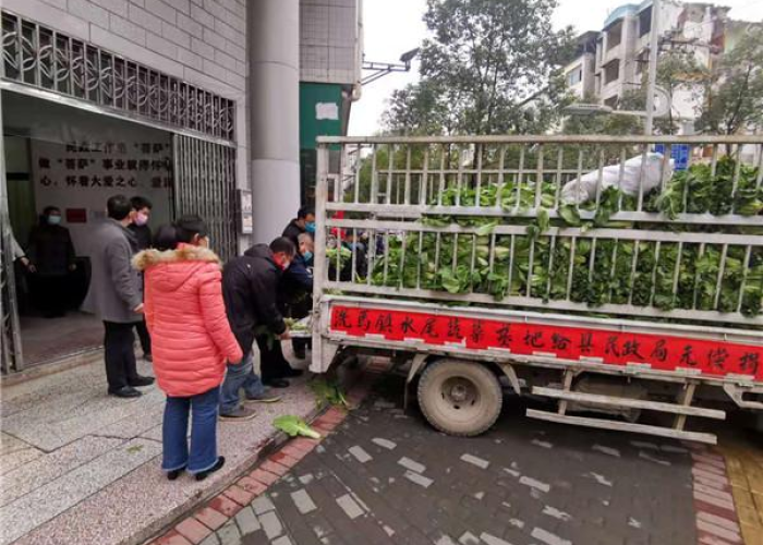 疫情最新数据消息贵州新闻，贵州疫情防控成效显著，数据背后的故事