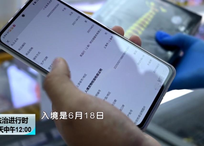 疫情起源追溯，2019年12月，全球疫情爆发的起点