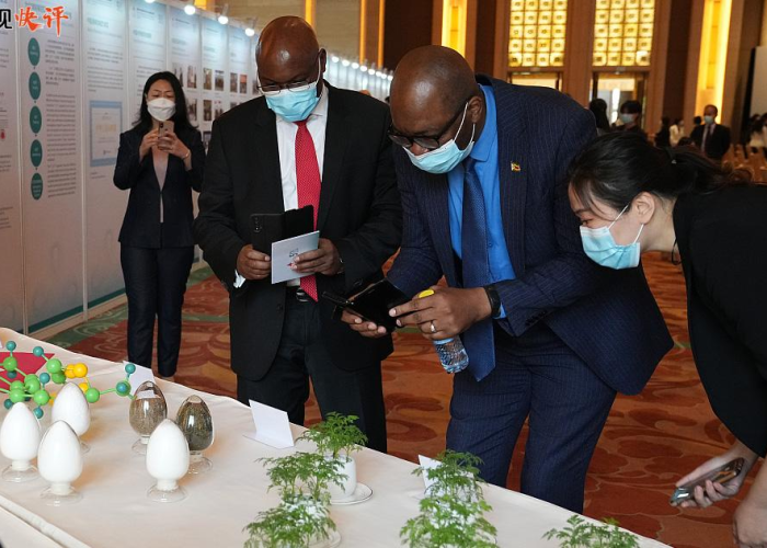 疫情爆发之年，全球公共卫生挑战与应对