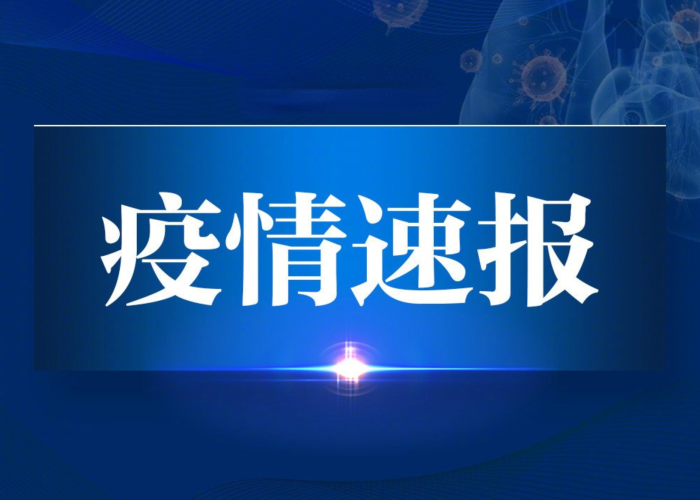 重庆渝北区新冠肺炎疫情下的城市挑战与应对策略