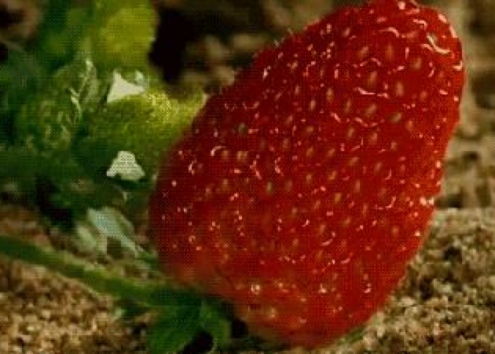 疫情最新数据消息症状，全球疫情动态与防控策略